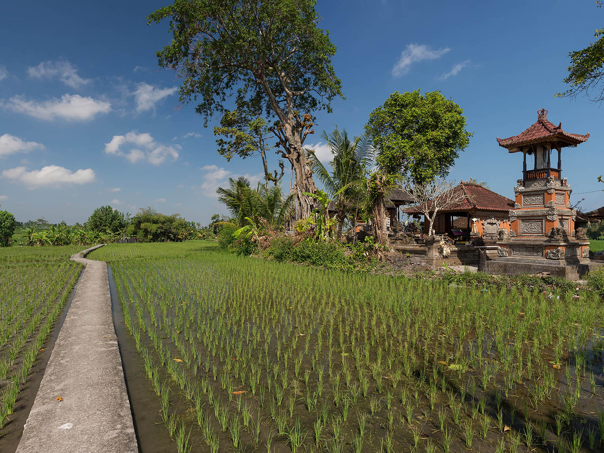 Seseh Beach Villas - A path through the ricefields - Seseh Beach Villa II, Seseh-Tanah Lot, Bali